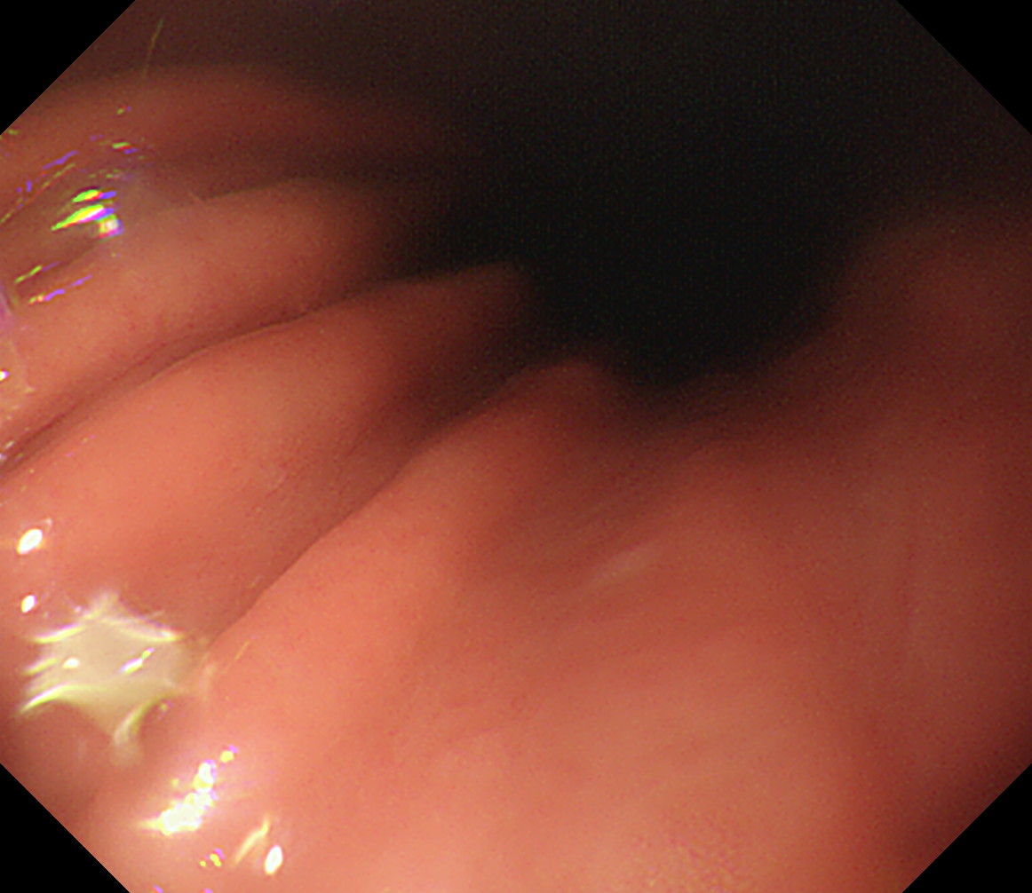 �̒������^